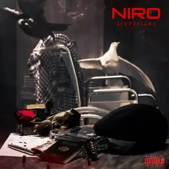 Jaquette de Niro - Stupéfiant 2019