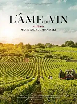 Jaquette de L Ame Du Vin