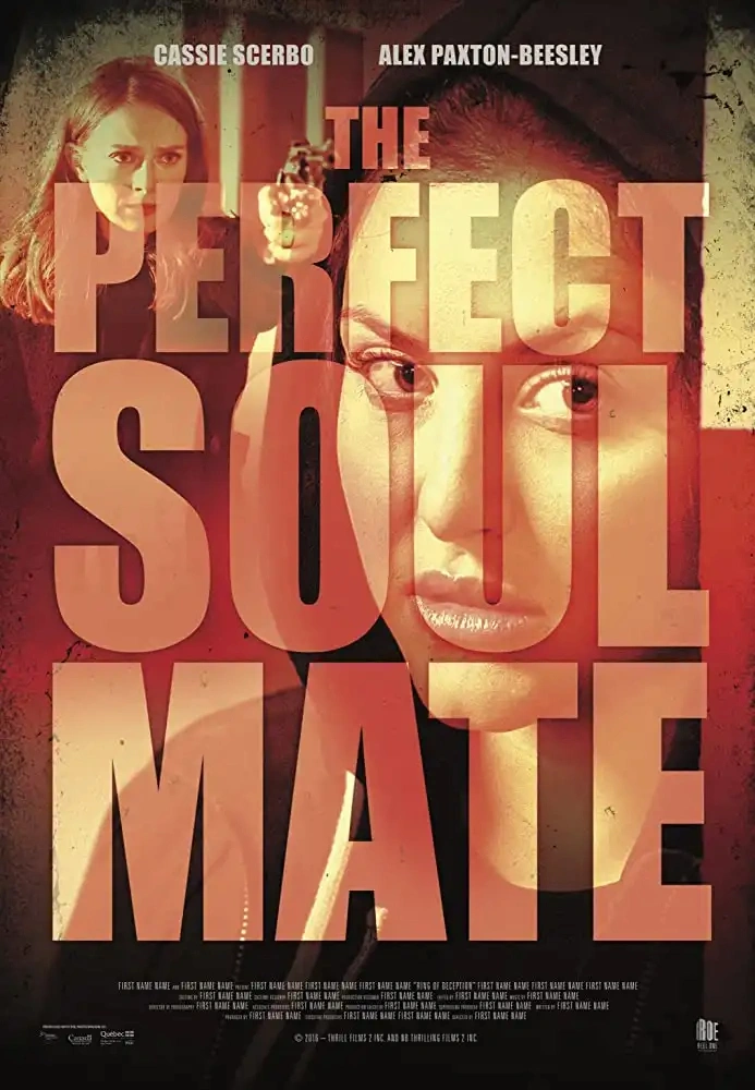 Jaquette de The Perfect Soulmate