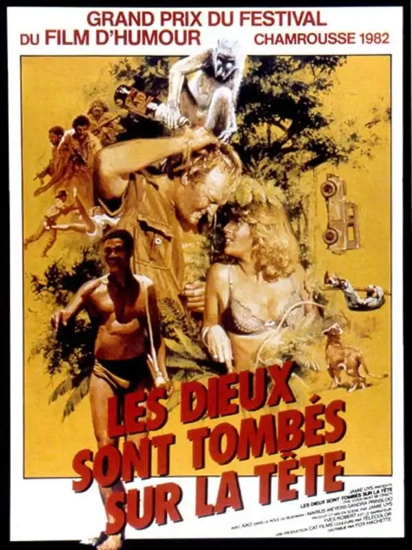Jaquette de Les Dieux sont tombés sur la tête