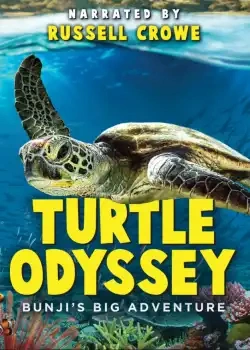 Jaquette de Turtle Odyssey