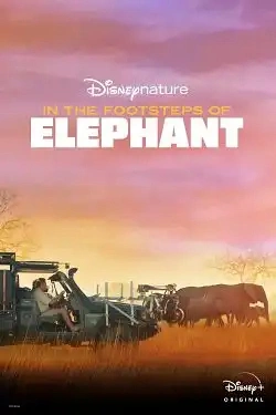 Jaquette de In the Footsteps of Elephant