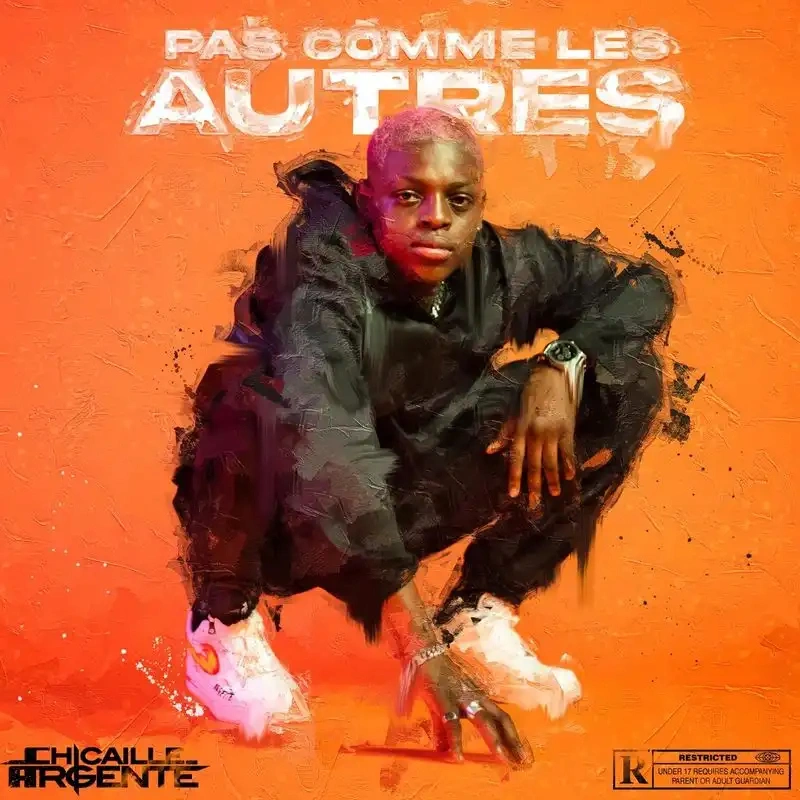 Jaquette de Chicaille argenté - Pas comme les autres 2021