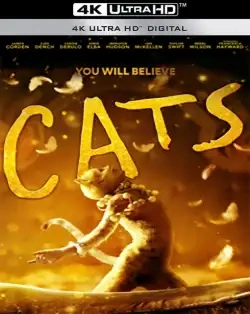Jaquette de Cats