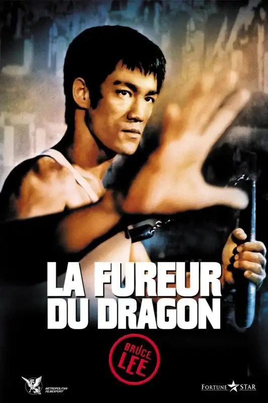 Jaquette de La Fureur du dragon