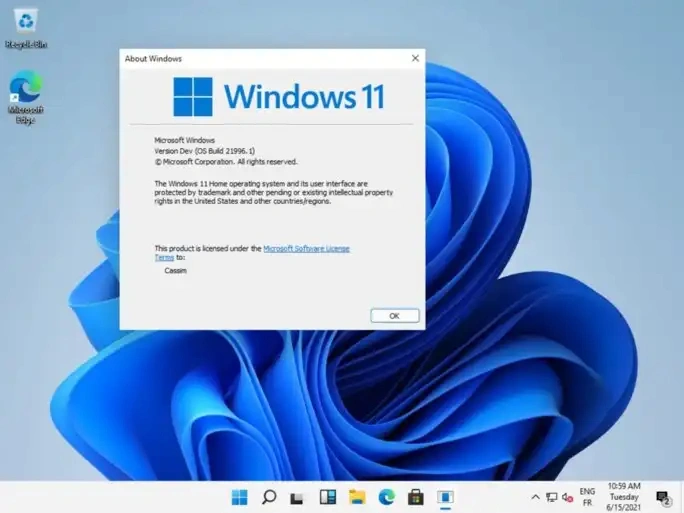 Jaquette de Windows 11 x64 Build 22000.160 AIO 10 in 1
