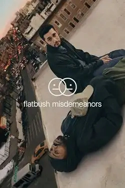 Jaquette de Flatbush Misdemeanors