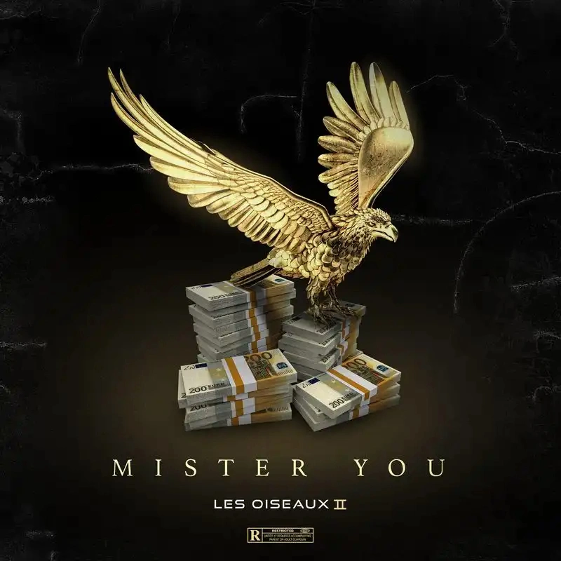 Jaquette de Mister you - Les oiseaux II 2021