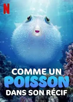 Jaquette de Puff Wonders of the Reef