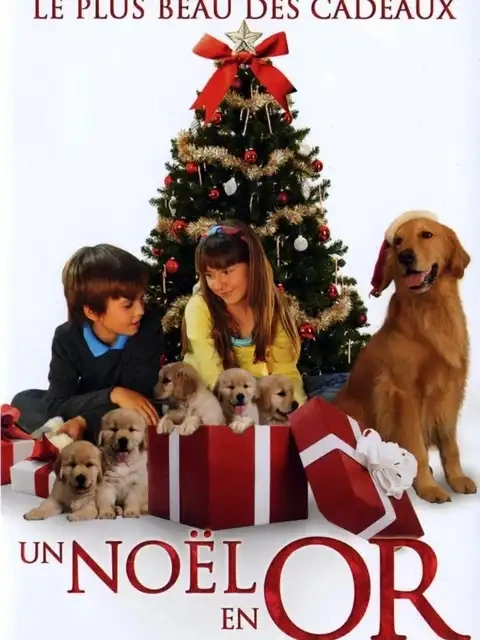 Jaquette de Un Noel En Or