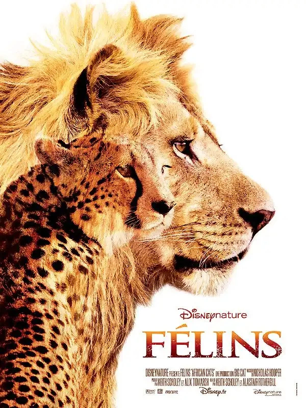 Jaquette de félins