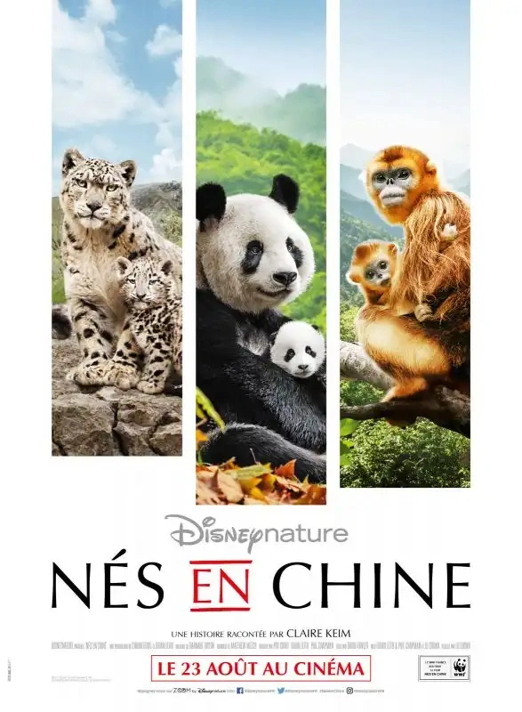 Jaquette de Born in China