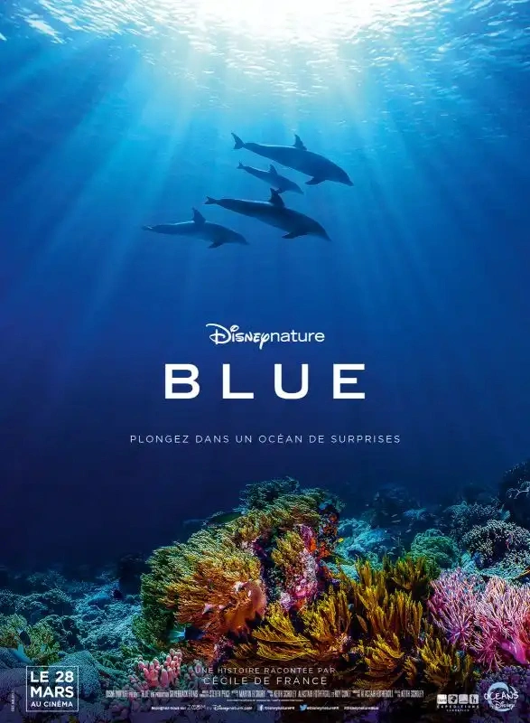 Jaquette de Blue