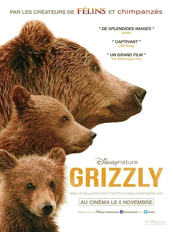Jaquette de Bears