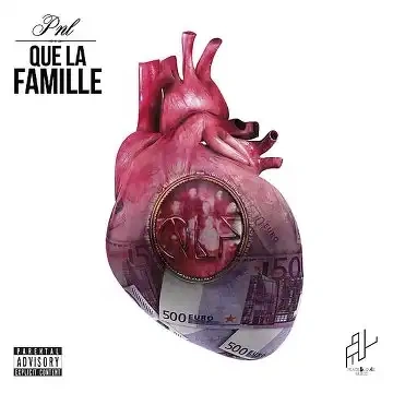 Jaquette de PNL - Que La Famille 2015