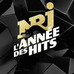 Jaquette de NRJ L'année des hits 2019