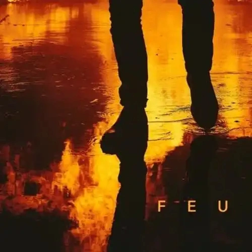 Jaquette de Nekfeu - Feu 2015