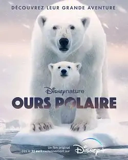 Jaquette de Polar Bear