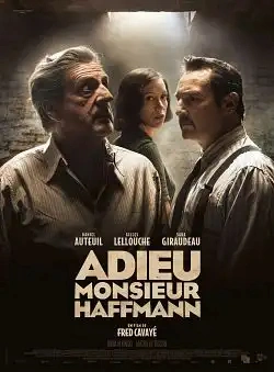 Jaquette de Adieu Monsieur Haffmann