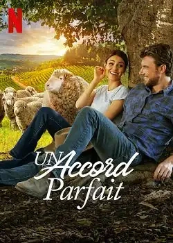 Jaquette de A Perfect Pairing
