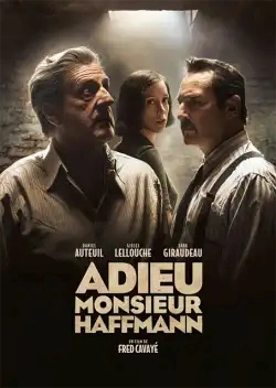 Jaquette de Adieu Monsieur Haffmann