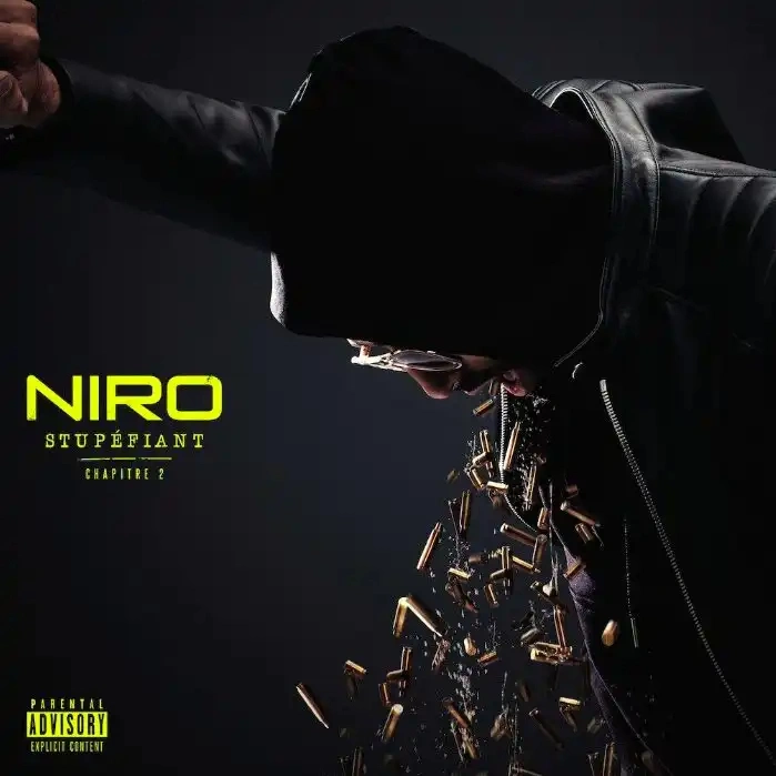 Jaquette de Niro - Stupéfiant Chapitre 2 2019