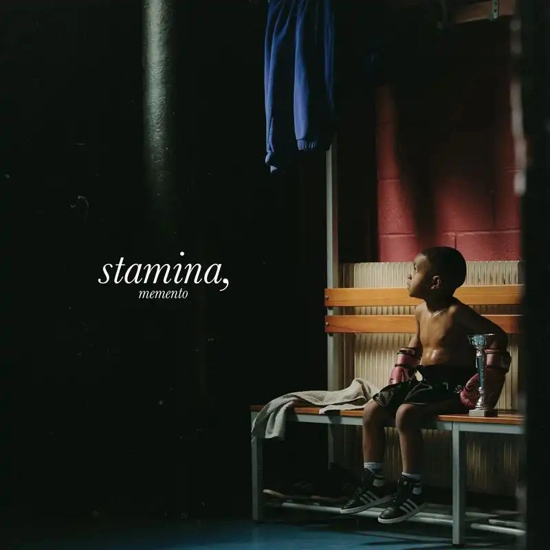 Jaquette de Dinos - Stamina, Memento 2021