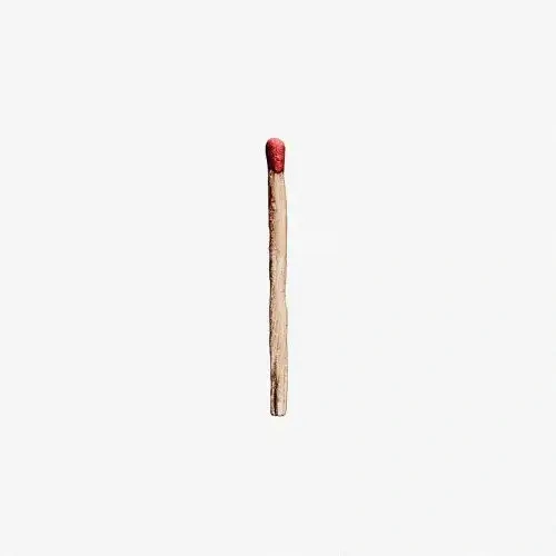 Jaquette de Rammstein - Rammstein 2019