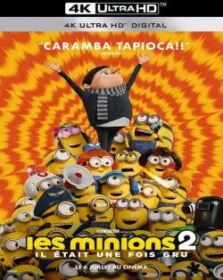 Jaquette de Minions The Rise of Gru