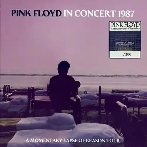 Jaquette de PINK FLOYD - In Concert 1987. A Momentary Lapse Of Reason Tour 2021