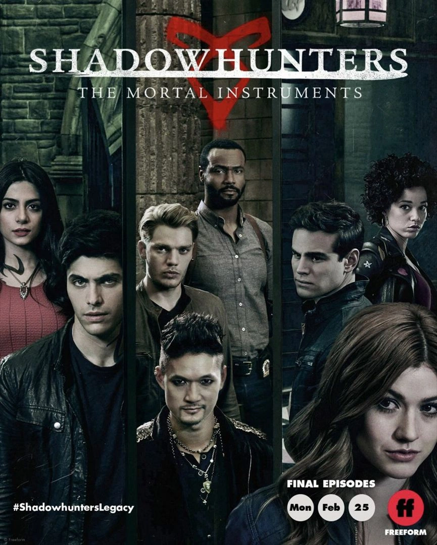 Jaquette de Shadowhunters