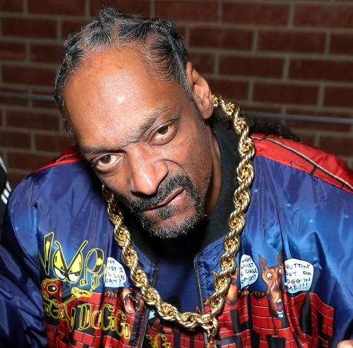 Jaquette de SNOOP DOGG - Gangsta Grillz. I Still Got It 2022