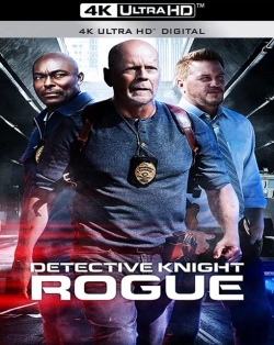 Jaquette de Detective Knight Rogue