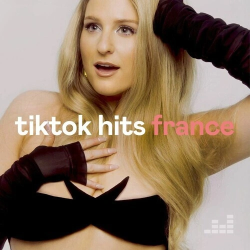 Jaquette de Tiktok hits France 2022