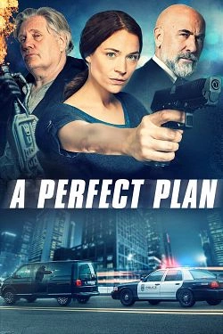 Jaquette de A Perfect Plan