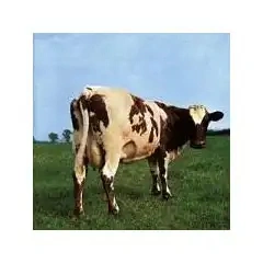 Jaquette de Pink floyd - The peel sessions 1970