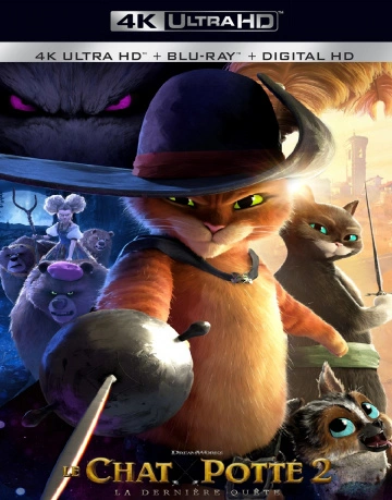 Jaquette de Puss In Boots The Last Wish