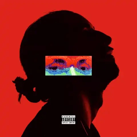 Jaquette de Lomepal - Amina 2019