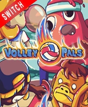 Jaquette de Volley Pals