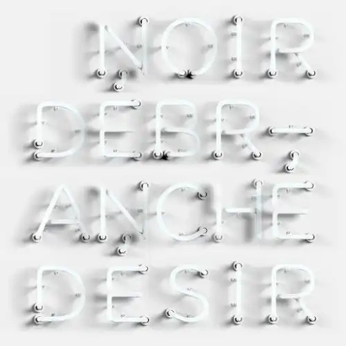Jaquette de Noir Desir - Debranché 2020