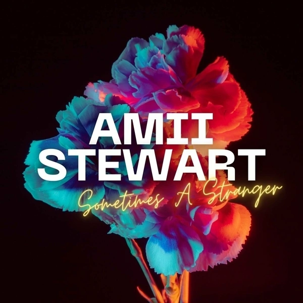 Jaquette de Amii Stewart-Sometimes A Stranger 2023