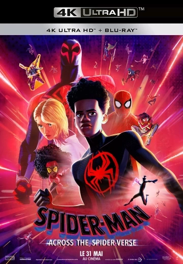 Jaquette de Spider Man Across The Spider Verse