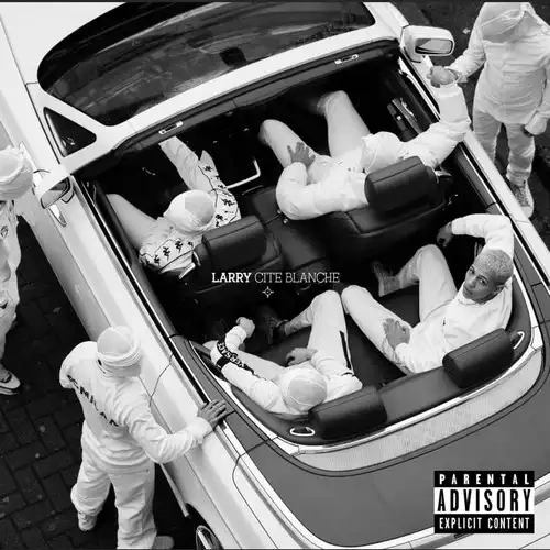 Jaquette de Larry - Cité blanche 2020