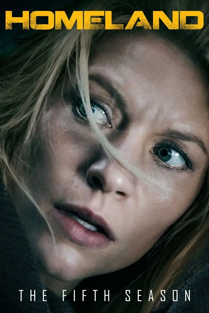 Jaquette de Homeland