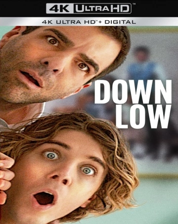 Jaquette de Down Low