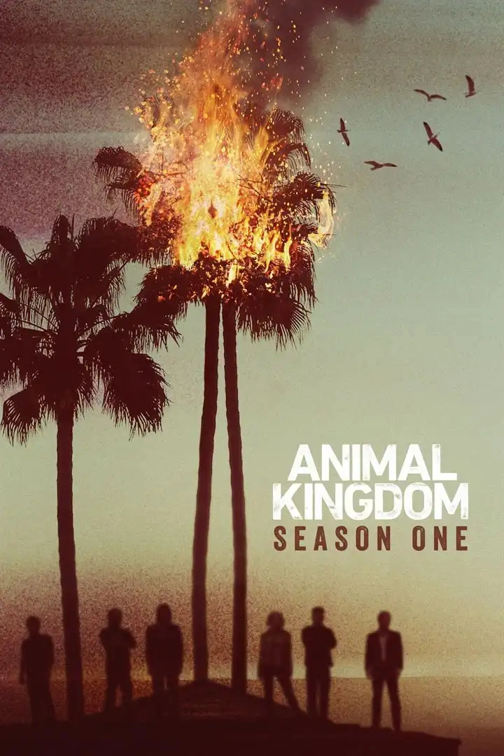 Jaquette de Animal Kingdom