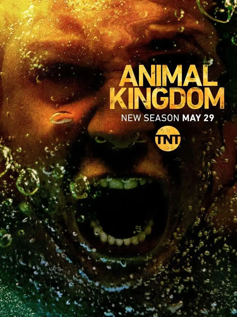 Jaquette de Animal Kingdom