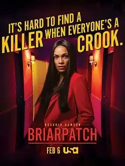 Jaquette de Briarpatch