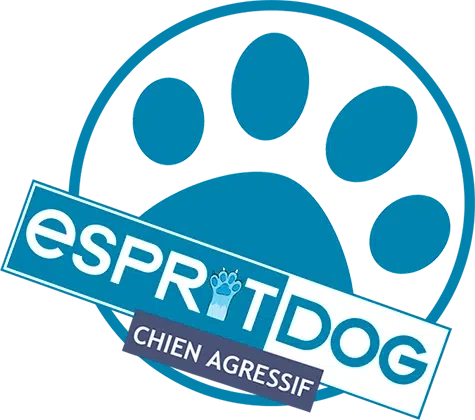 Jaquette de Gérer un Chien Agressif