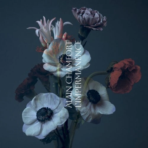 Jaquette de Alain Chamfort - L'impermanence MP3 2024